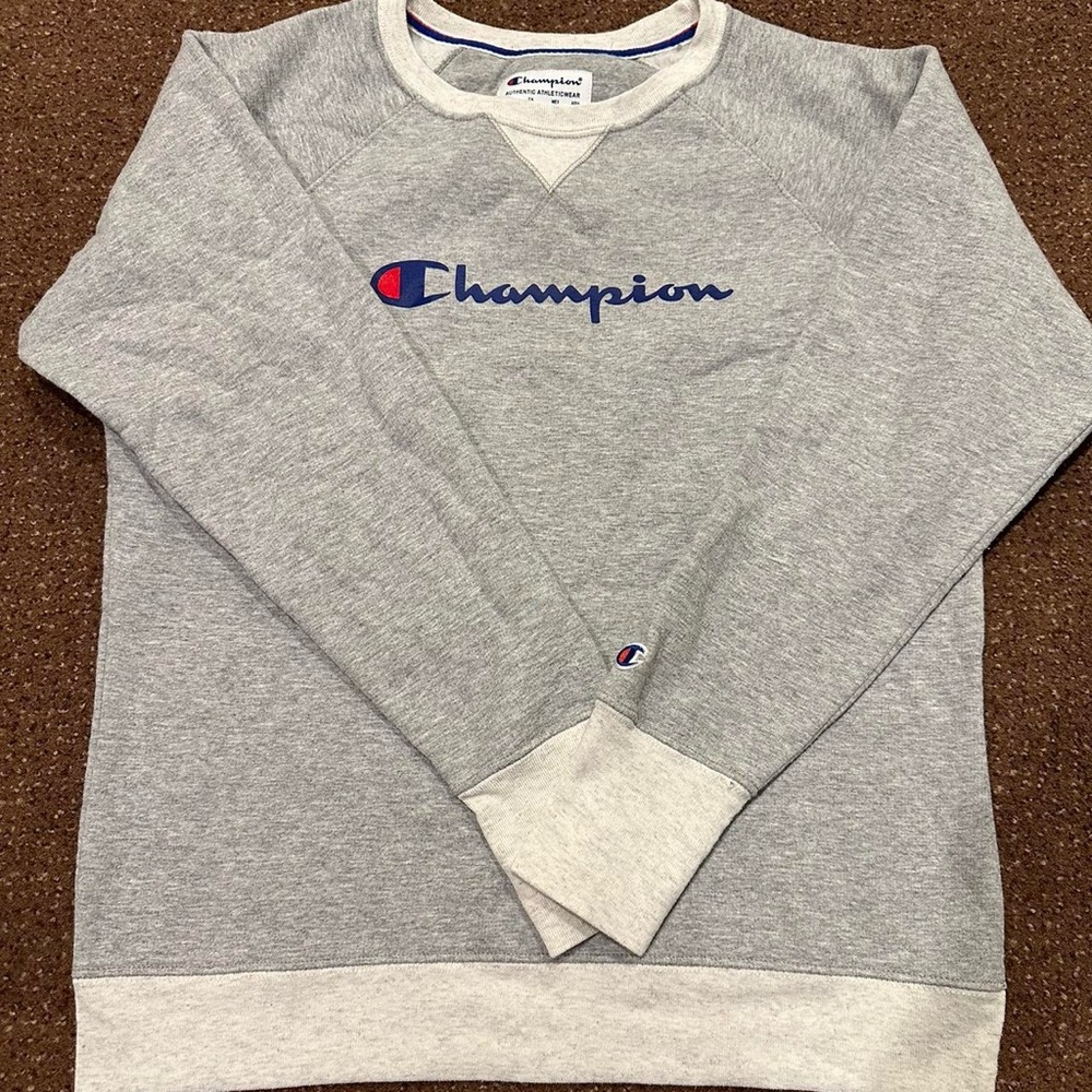 Champion Women's Grey Sweatshirt